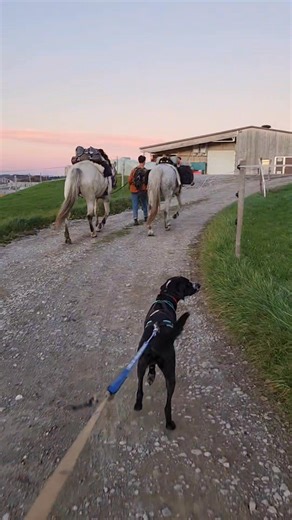 Journée numéro 1 sur 3 avec Edja en Suisse @super fans | Le Nomade Du Futur