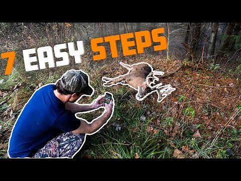 How to Plan a Hunting Trip - Step by Step Guide