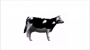 Polish Dancing Cow ｜ [1 Hour Version]
