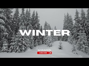 The World in Winter | Stunning Cinematic Nature