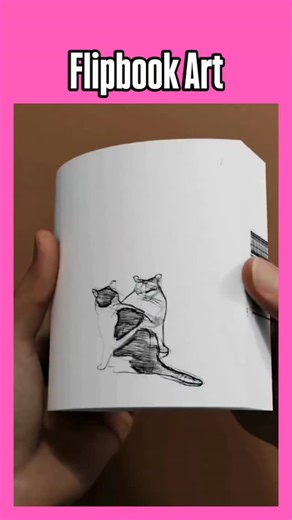 A flipbook (sometimes called a “flip book” or “thumb cinema”) is a small book containing a sequence of slightly different images on each page. When you quickly flip through the pages with your thumb, the images appear to move — creating the illusion of animation! | The Dreams of Je"