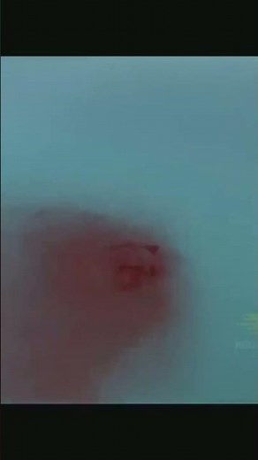 water monster full movie 🎥😮