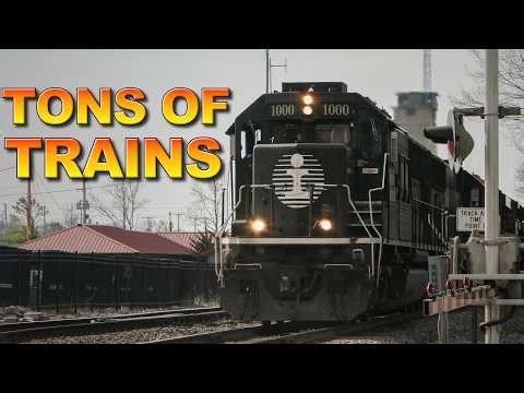 Busy Day at Down Town Olathe!