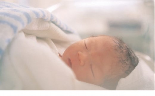 川内伦子摄影集《Cui Cui》