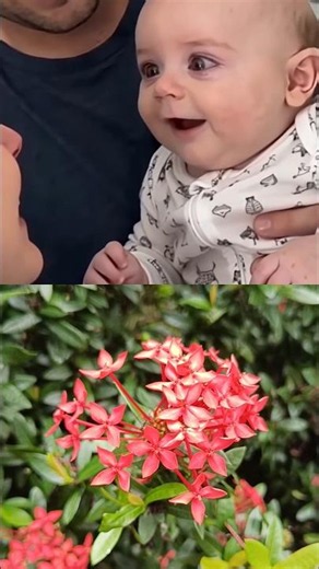 The most beautiful reaction you will see today 👶❤️