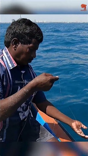 Sea Fish Catching Videos #fishing #fishingvideos #fishingtime