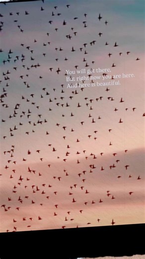 #rest #be #breath #fyp #fypシ rest slow enjoy breathe stop look listen think … you are here now ❤️‍🩹