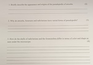 Briefly describe the appearance and origins of the pseudopodia ... | Filo