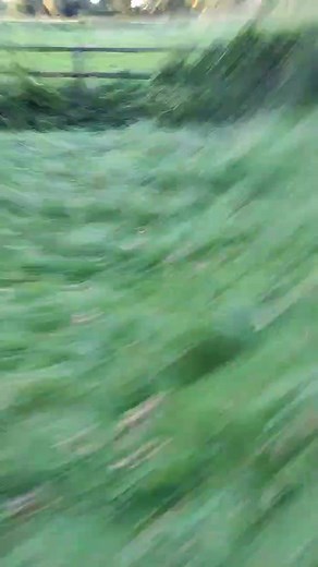 Daring Fundy Bowling Jump Challenge