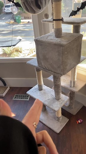 velvetmonkeytattoo (@velvetmonkeytattoo)’s videos with original sound - jon