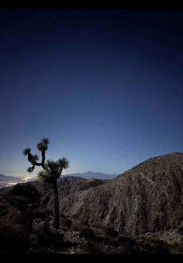 Explore the Stars at Joshua Tree National Park