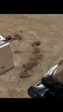 Vacuuming w/ Shark NV360 Navigator Lift-Away Deluxe Upright Vacuum