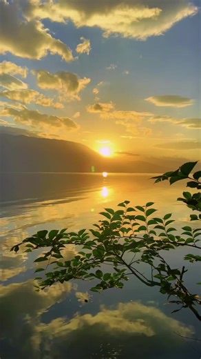 箱根旅行の魅力と湯宿の楽しみ方
