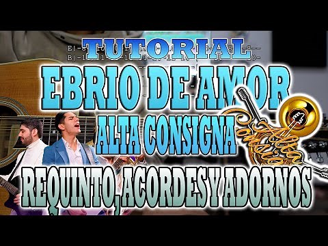 Drunk in Love - High Consignment - REQUINTO, CHORDS AND ORNAMENTS - TUTORIAL - WITH TABS