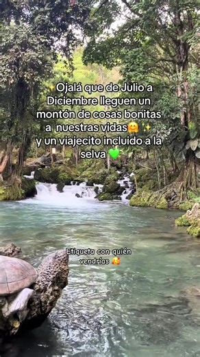 De julio a diciembre: ideas para momentos inolvidables en Tarapoto