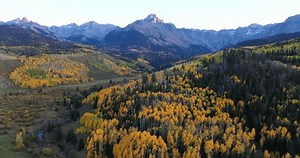 コロラド州リッジウェイの近くの秋の間に黄金のアスペンを示す郡道7に沿ってサンファン山脈のスネッフェル山の眺め。