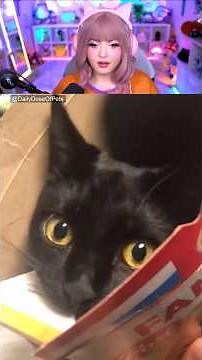 The Funniest & Cutest Pets You’ll See Today 🐶🐾 | Daily Dose of Pets Reaction