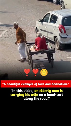 "A beautiful example of love and dedication." #shorts #yt