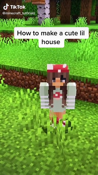 How to Build a Cute Lil House in Minecraft
