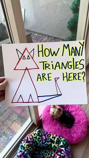 Pretty sure I counted all the triangles 😺 #gameideas #diygames #games #fblifestyle | Team Family