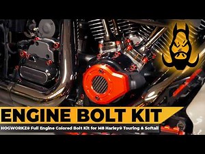 HOGWORKZ® Full Engine Bolt Kit for M8 Harley® Touring & Softail