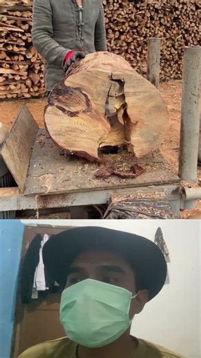 The Drill That Splits Trees