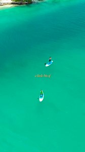 Belize has all the sunshine, fresh air, and everything amazing you didn’t know you needed ☀️🌿🌊 From golden beaches to lush jungles, it’s pure magic in every direction. Breathe it in, soak it up, and don’t forget to tag #TravelBelize to share the love 💛🇧🇿 #Belize | Travel Belize