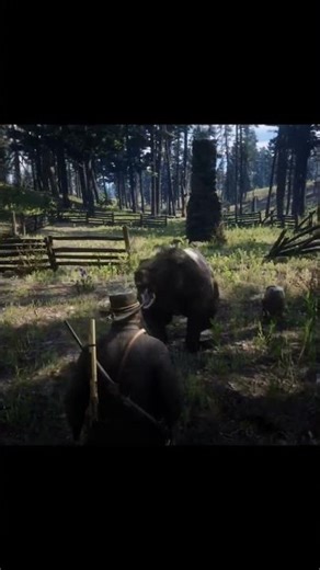 Man vs Bear. #rdr2 #reddeadredemption2 #gaming #rockstar #arthurmorgan