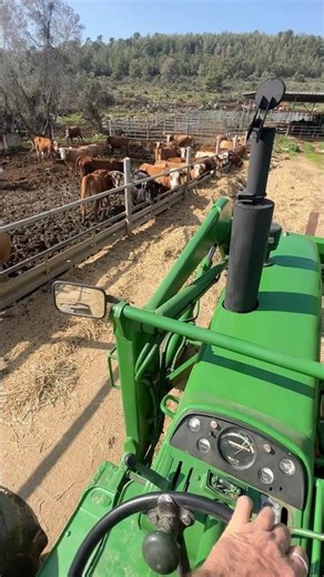 The first one after a long time 🤩