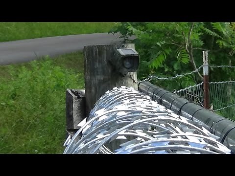 Wuloo Driveway Alarm Review Part Two: A Final Look