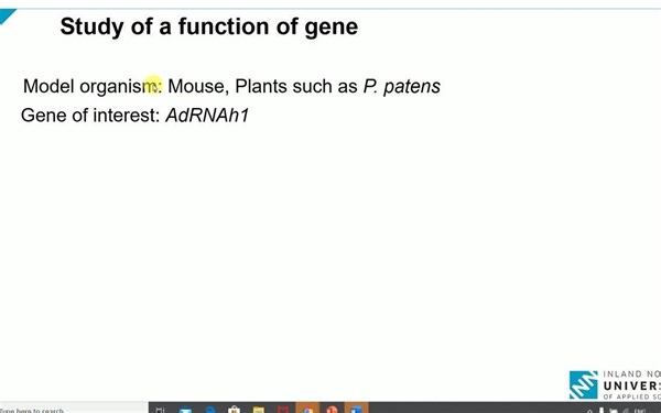 How to create knockout mutant using homologous recombination Gene knockout Gene
