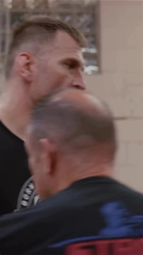 Learn About the Boxer Breed and Their Training Tips