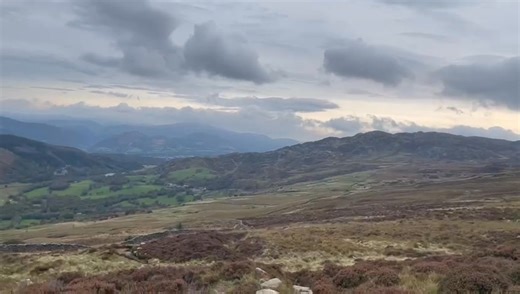 Day 2 cadair Idris knackered 😂😂😂 | Fen Bank Greyhound Sanctuary