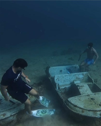 Free Diving Adventures: Underwater Fun and Challenges