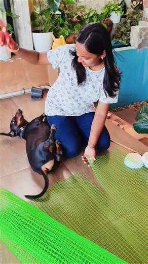 easy orchid pot #diy #orchid #orchids #gardening