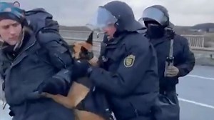Clip löst Empörung aus - Polizist hetzt Hund bei Anti-AfD-Protest auf Demonstrant