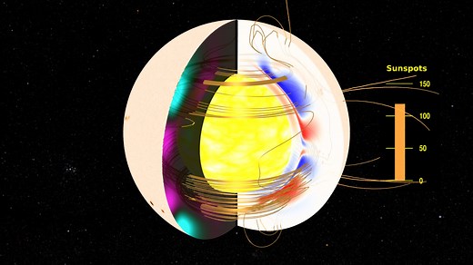NASA Scientific Visualization Studio | The Solar Dynamo: Toroidal and Poloidal Magnetic Fields