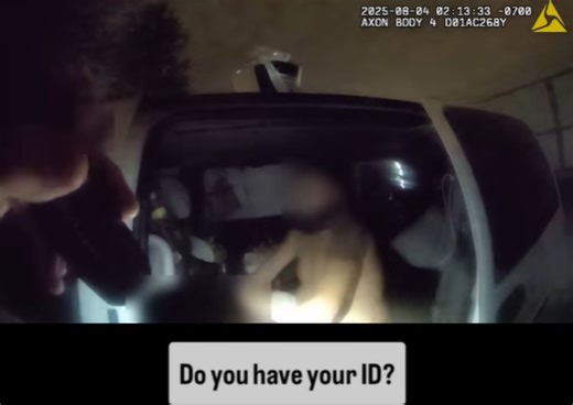 An Irvine Police K9 dog helped to bust a wanted theft suspect who was using drugs - New Santa Ana