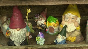 Go on a gnome scavenger hunt at this trail in Maple Valley