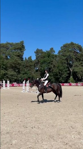 Ambiance au paddock – Finale des 7 ans CSO Poneys 2025 à Fontainebleau
