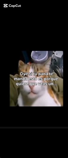 ⭐Tutorial de como abrir un cuaderno!