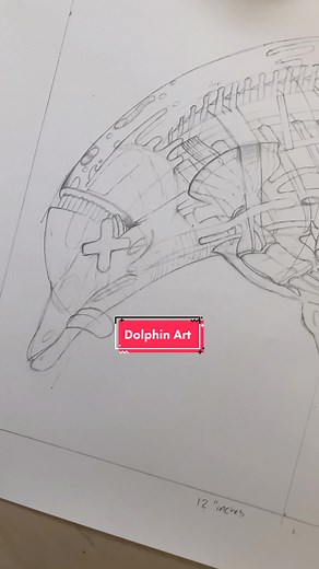 Realistic Dolphin Pencil Sketch Tutorial