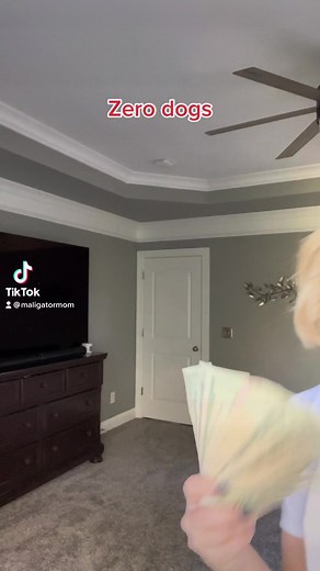 73K views · 770 reactions | Owning a Malinois  #dog #dogtraining #malinois #workingdog #doglover #dogmomlife #dogdad | MaligatorMom | Facebook