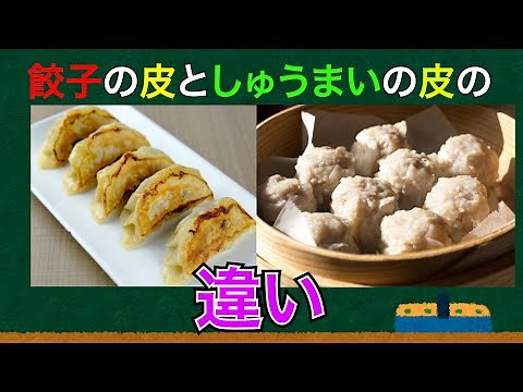 (ざっくり解説)餃子の皮とシュウマイの皮の違いって何？(雑学2個)