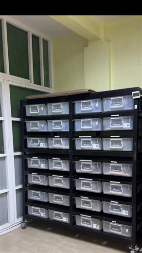 Transforming the Snake Room for 2026 Babies
