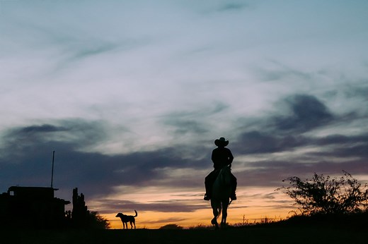 The Cowboy Way Of Life & How Can You Be A Cowboy Today?