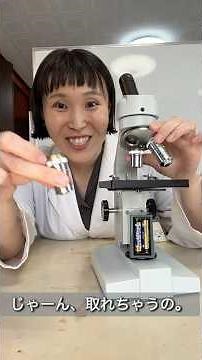 顕微鏡で見ると上下さかさま #実験 左右逆❗️