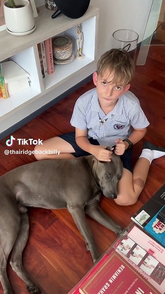 Billy's Relaxing Ear Massage for Dogs