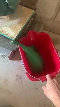 Get Rid Of Mice In Your Garage | Wildlife Pro Mice Issue in Garage