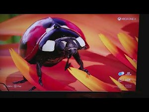 Insects : An Xbox One X Enhanced Experience Analysis Tutorial